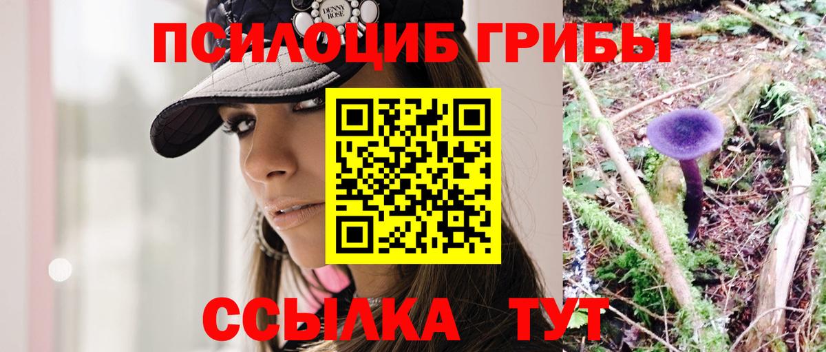 Черняховск  Галлюциногенные грибы GOLDEN TEACHER  Вход с VPN 